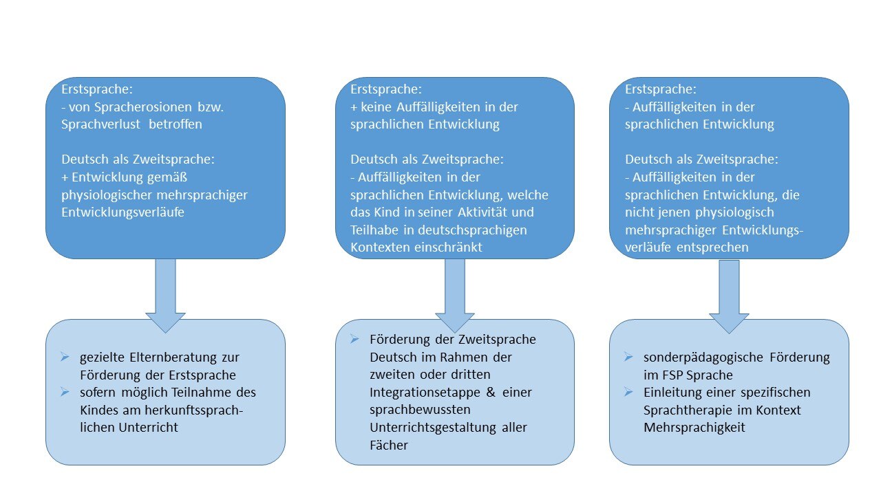 je nach Auffälligkeiten: Elterberatung, herkunfssprachlicher Unterricht und Förderung in der Erst- und Zeitsprache